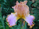 DSCN2159_025