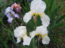 DSCN2164_030