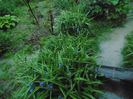 picture 056
