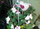 20140515_151525