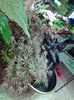 20140515_152024