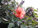 20140515_160049