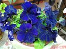 20140515_151605