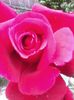 20140515_170916