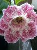 20140515_163527