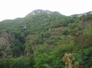 IMG_1301