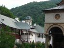 IMG_1250