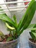 20140515_175305