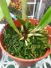 20140515_175214