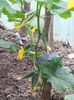 20140514_124832