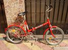 Bicicleta Pegas practic
