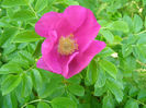 P1019103