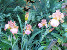 DSCN2171_005