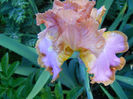 DSCN2173_007