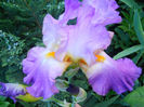 DSCN2174_008