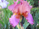 DSCN2184_018