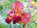 DSCN2239_073