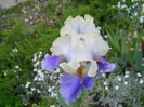 DSCN2241_075