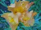 DSCN2250_084