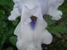 DSCN2256_090