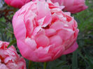 DSCN2230_064