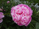 DSCN2233_067