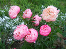 DSCN2235_069