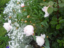 DSCN2238_072