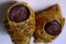 CURCUMA CAESIA