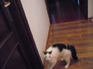 DSCF1905