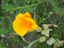 DSCN5997