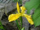 DSCN6003