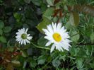 DSCN6004