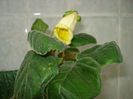 DSC08569