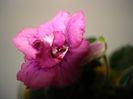 DSC08646
