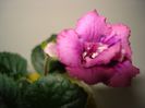DSC08650