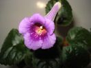 DSC08654