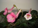 DSC08618