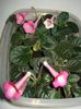 DSC08606