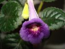 DSC08656