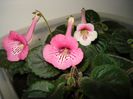 DSC08613