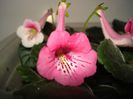 DSC08625