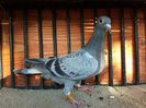 20140512_192101