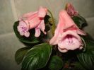 DSC08675