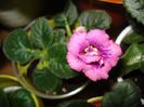 DSC08677