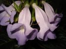 DSC08680