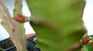 DSC00564