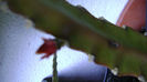 DSC00561