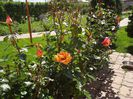 DSC00342