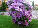 DSC00318